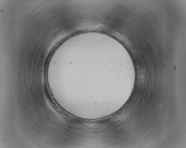 X0000064730582200603131255