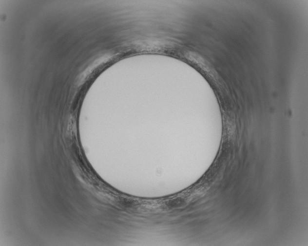 X0000064730583200603131255