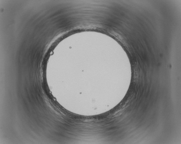 X0000064730584200603131255