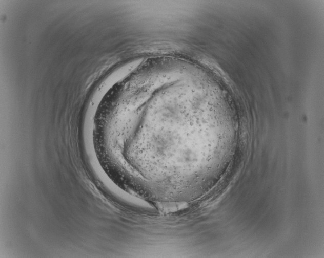 X0000064730585200603131255