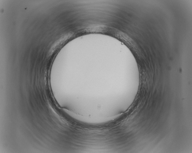 X0000064730586200603131255