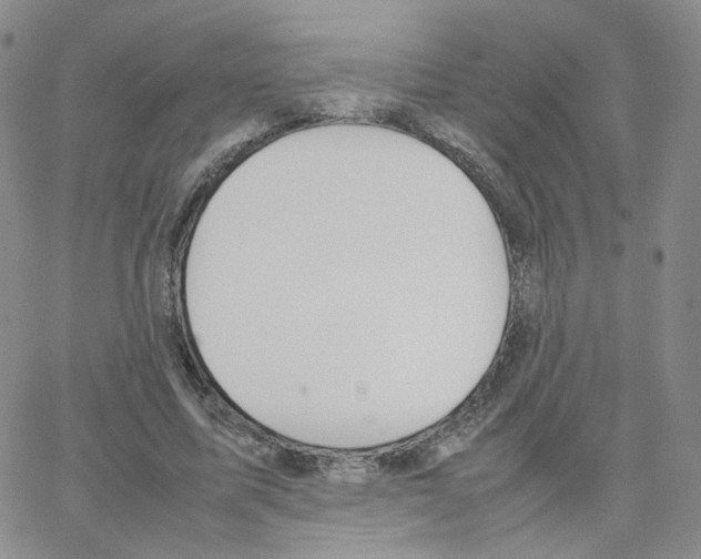 X0000064730587200603131255