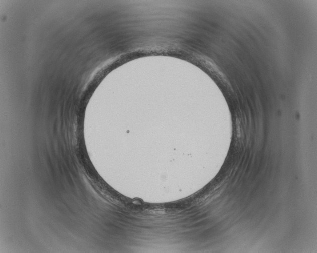 X0000064730588200603131255