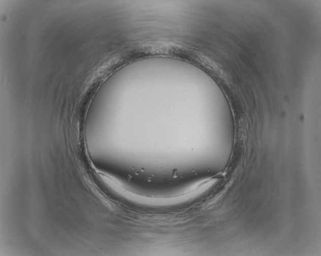 X0000064730589200603131255