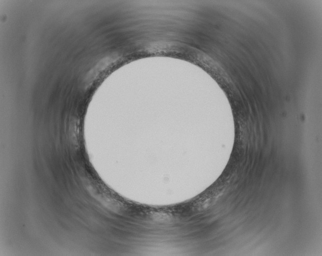 X0000064730592200603131255