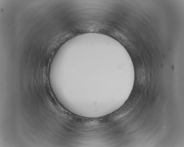 X0000064730594200603131255