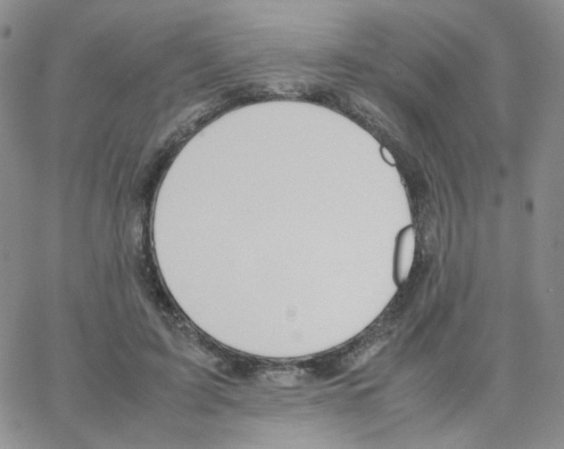 X0000064730595200603131255