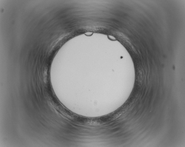 X0000064730596200603131255