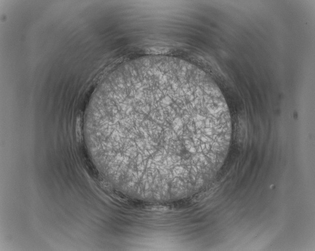 X0000064730598200603131255