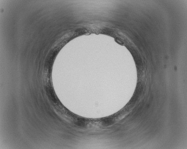 X0000064730599200603131255