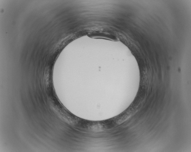 X0000064730600200603131255