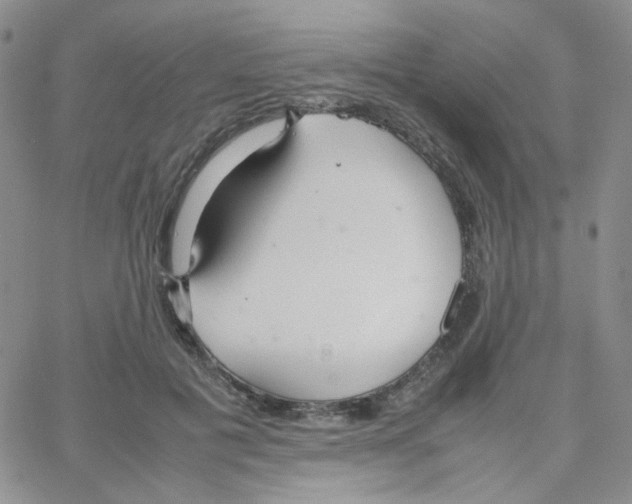 X0000064730601200603131255