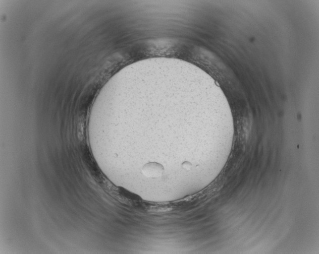 X0000064730602200603131255