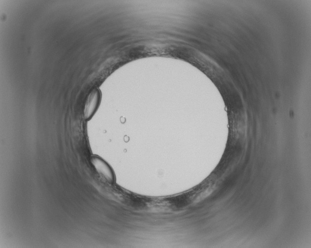 X0000064730603200603131255