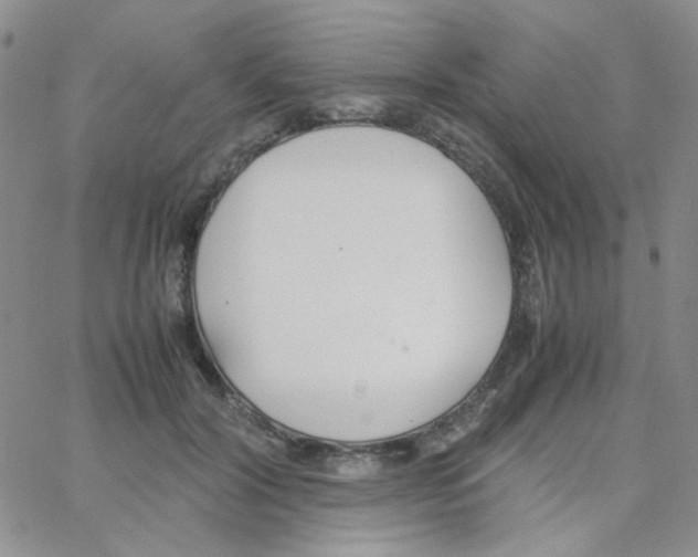 X0000064730604200603131255