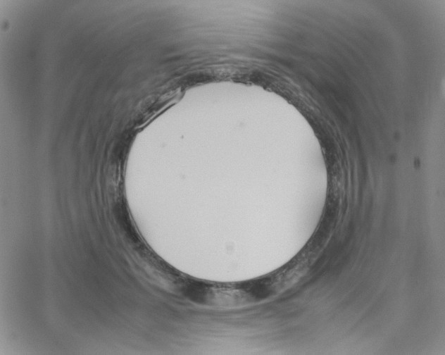 X0000064730605200603131255