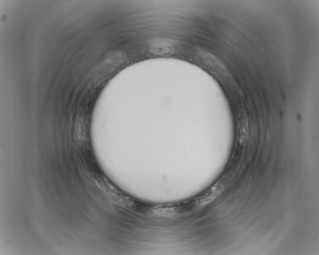 X0000064730606200603131255