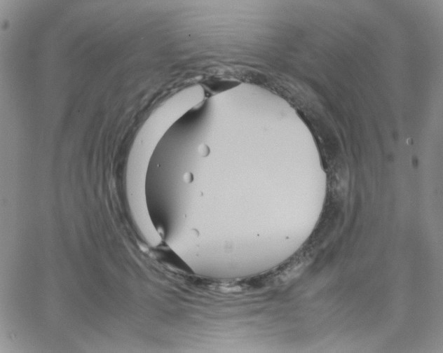 X0000064730607200603131255