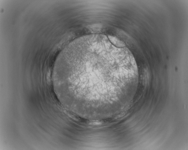 X0000064730610200603131255