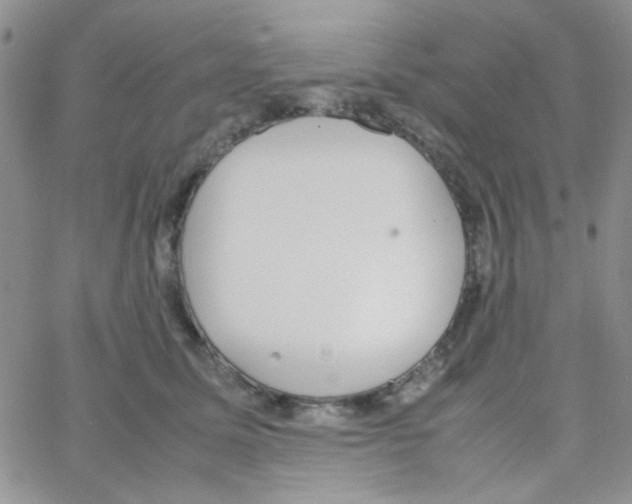 X0000064730611200603131255