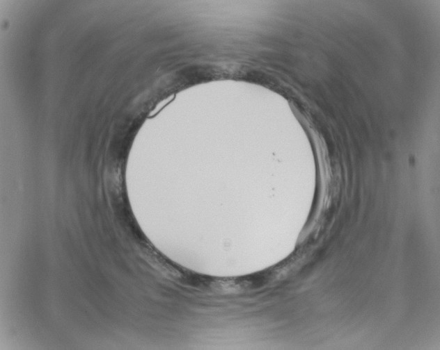 X0000064730613200603131255