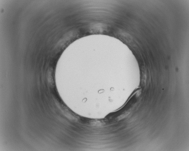 X0000064730616200603131255