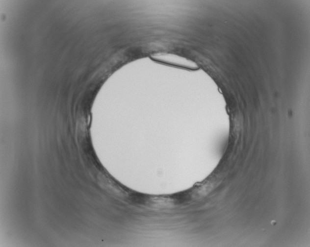 X0000064730617200603131255