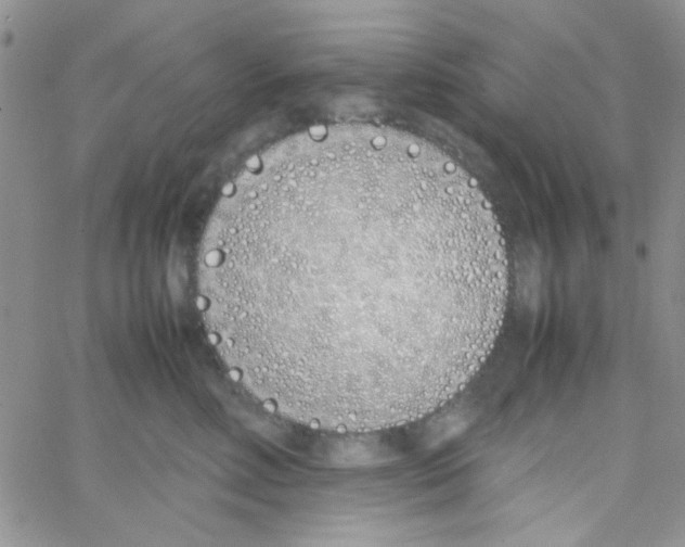 X0000064730618200603131255