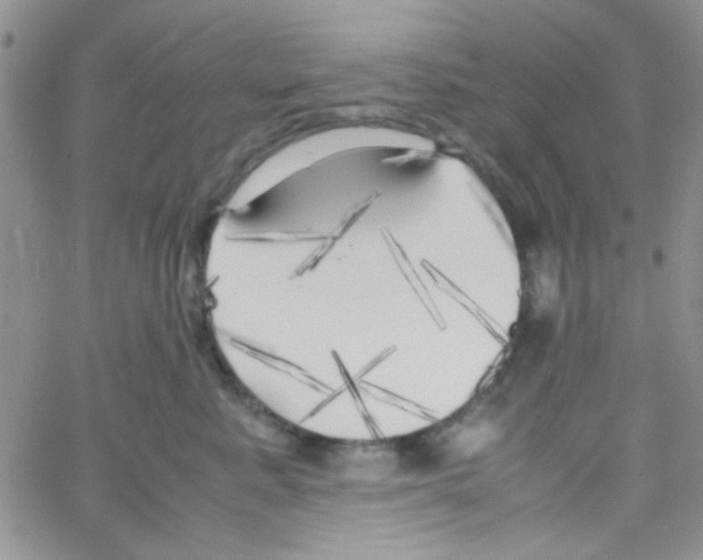 X0000064730619200603131255