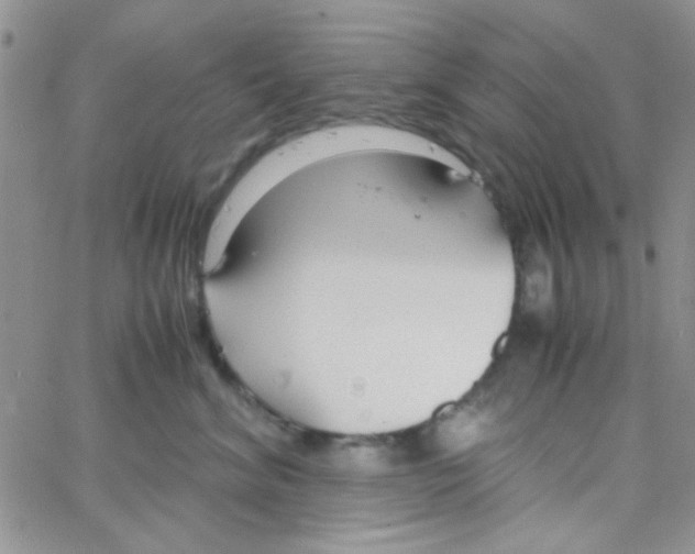 X0000064730620200603131255