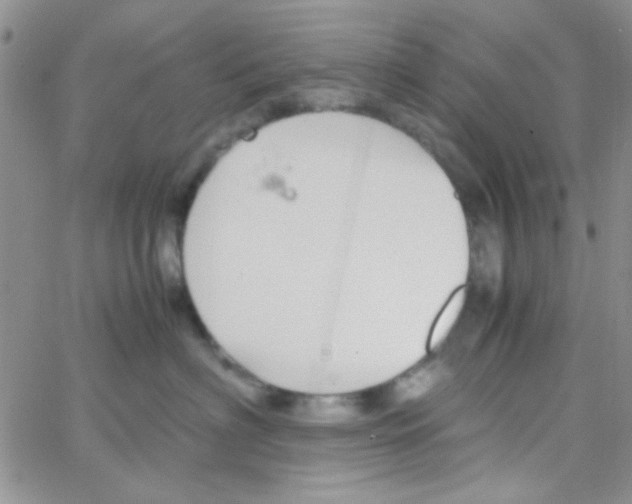 X0000064730622200603131255