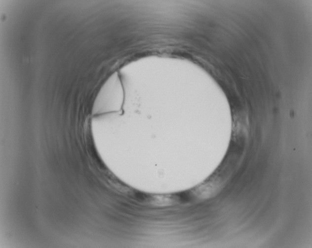 X0000064730623200603131255