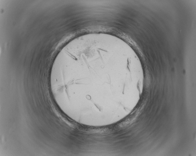 X0000064730625200603131254