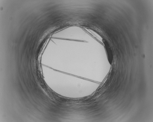 X0000064730626200603131254