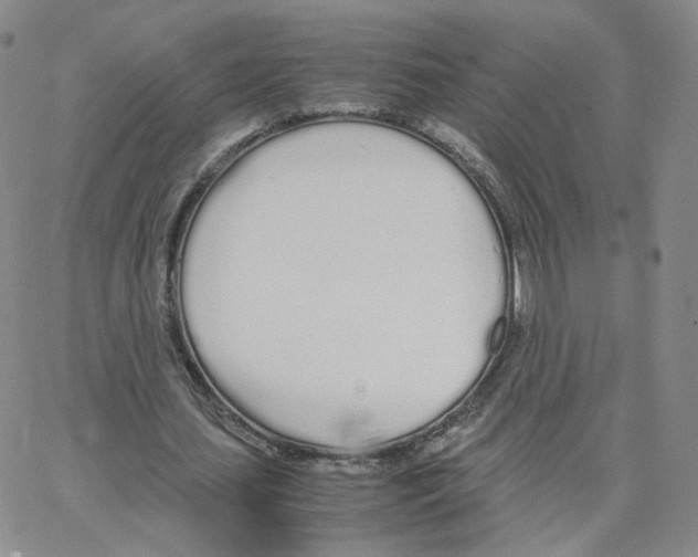 X0000064730627200603131254