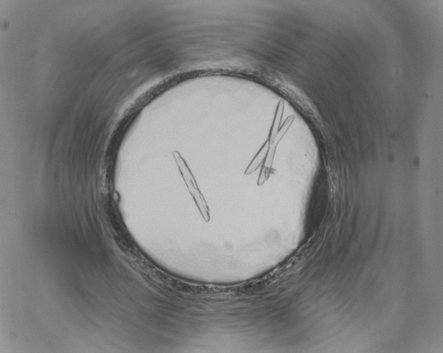 X0000064730628200603131254