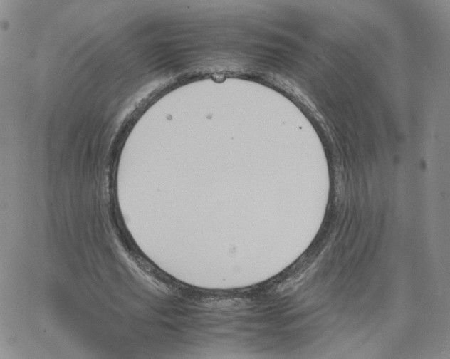 X0000064730629200603131254