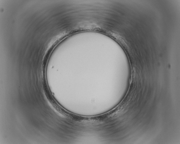 X0000064730630200603131254