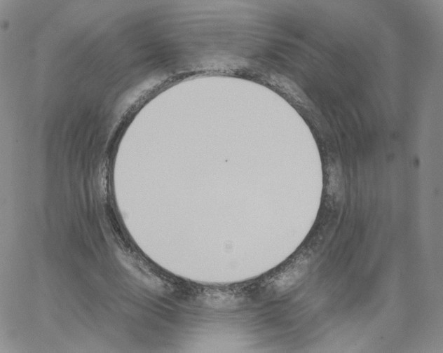 X0000064730632200603131254