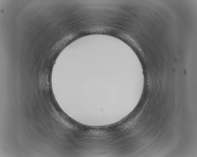 X0000064730633200603131254