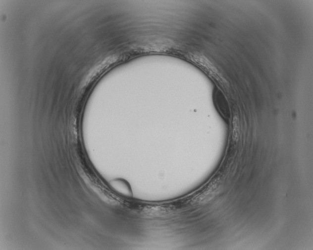 X0000064730634200603131254