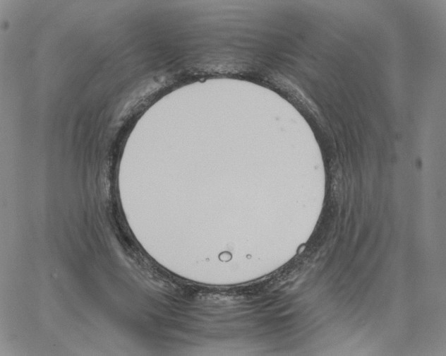 X0000064730635200603131254