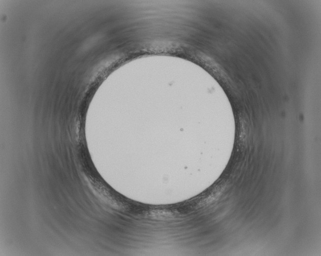 X0000064730636200603131254