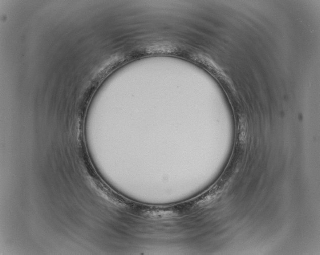 X0000064730637200603131254