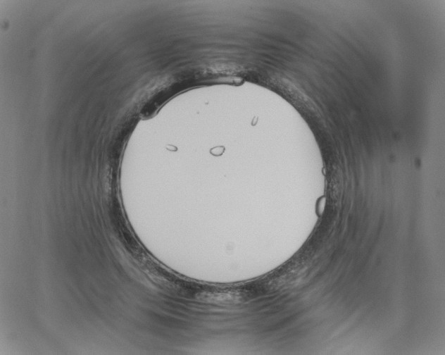 X0000064730639200603131254