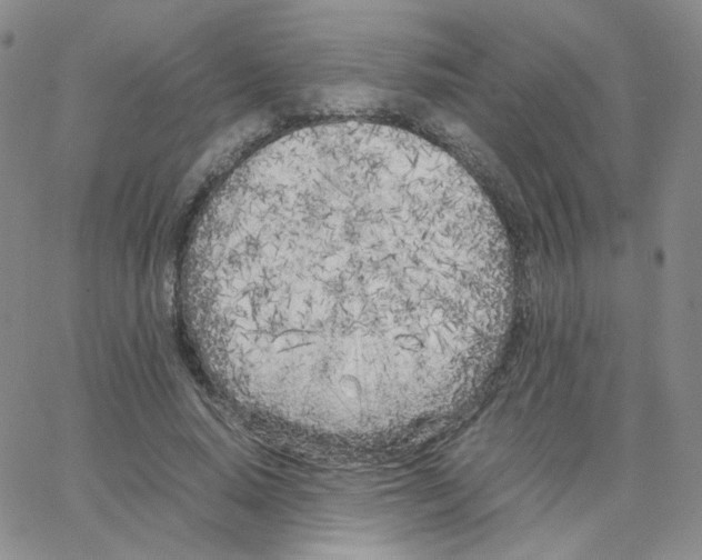 X0000064730640200603131254