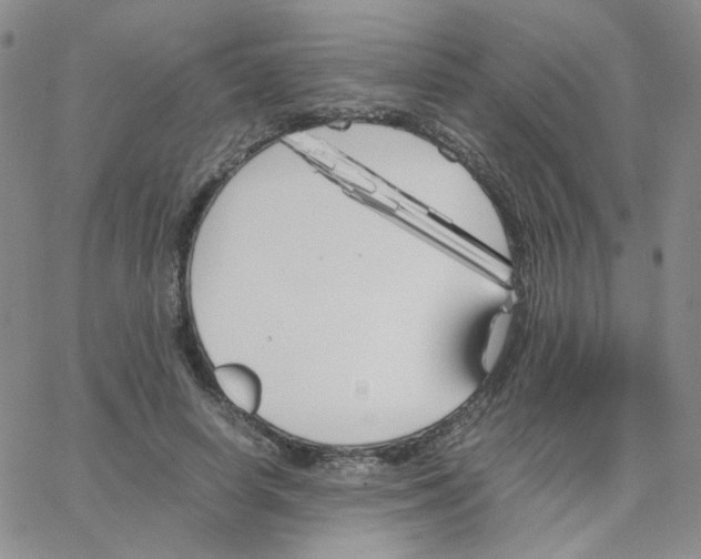 X0000064730642200603131254