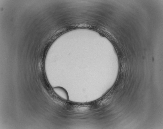 X0000064730643200603131254