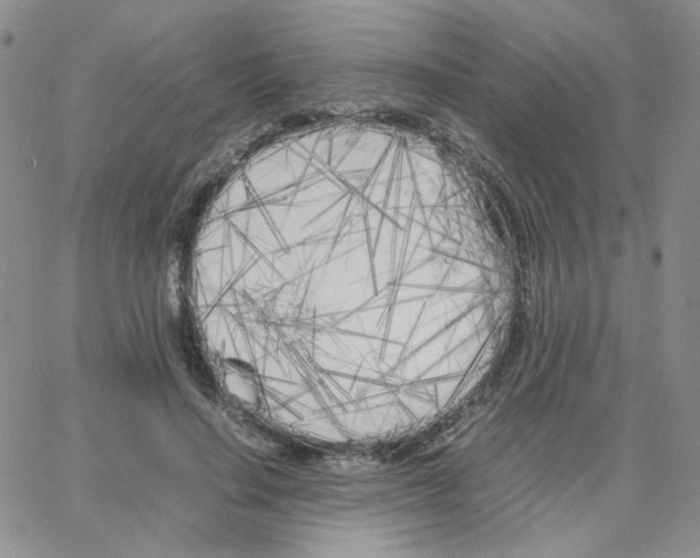 X0000064730644200603131254