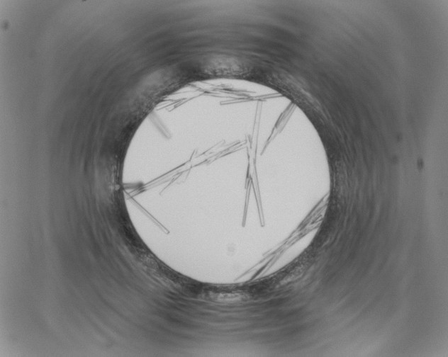 X0000064730645200603131254